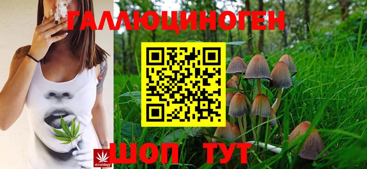 Галлюциногенные грибы GOLDEN TEACHER Камышин
