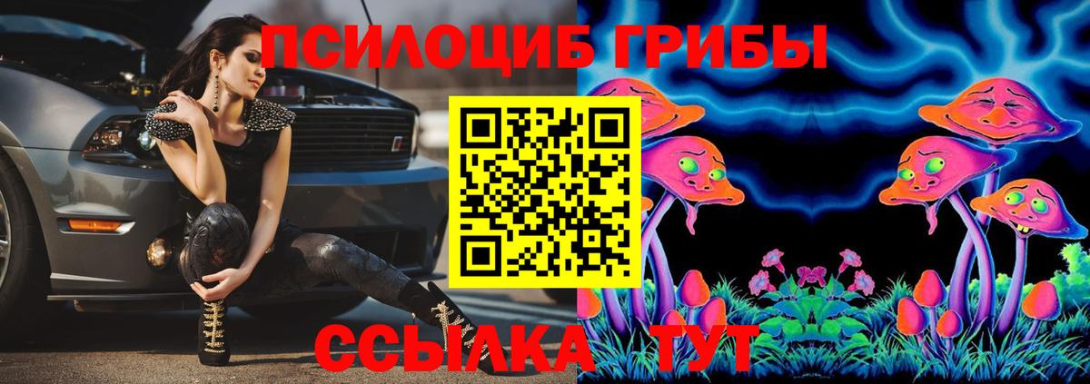 Камышин  Галлюциногенные грибы прущие грибы  Вход с VPN 